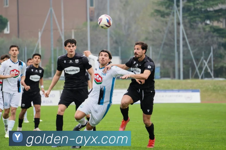 爱游戏服务体系